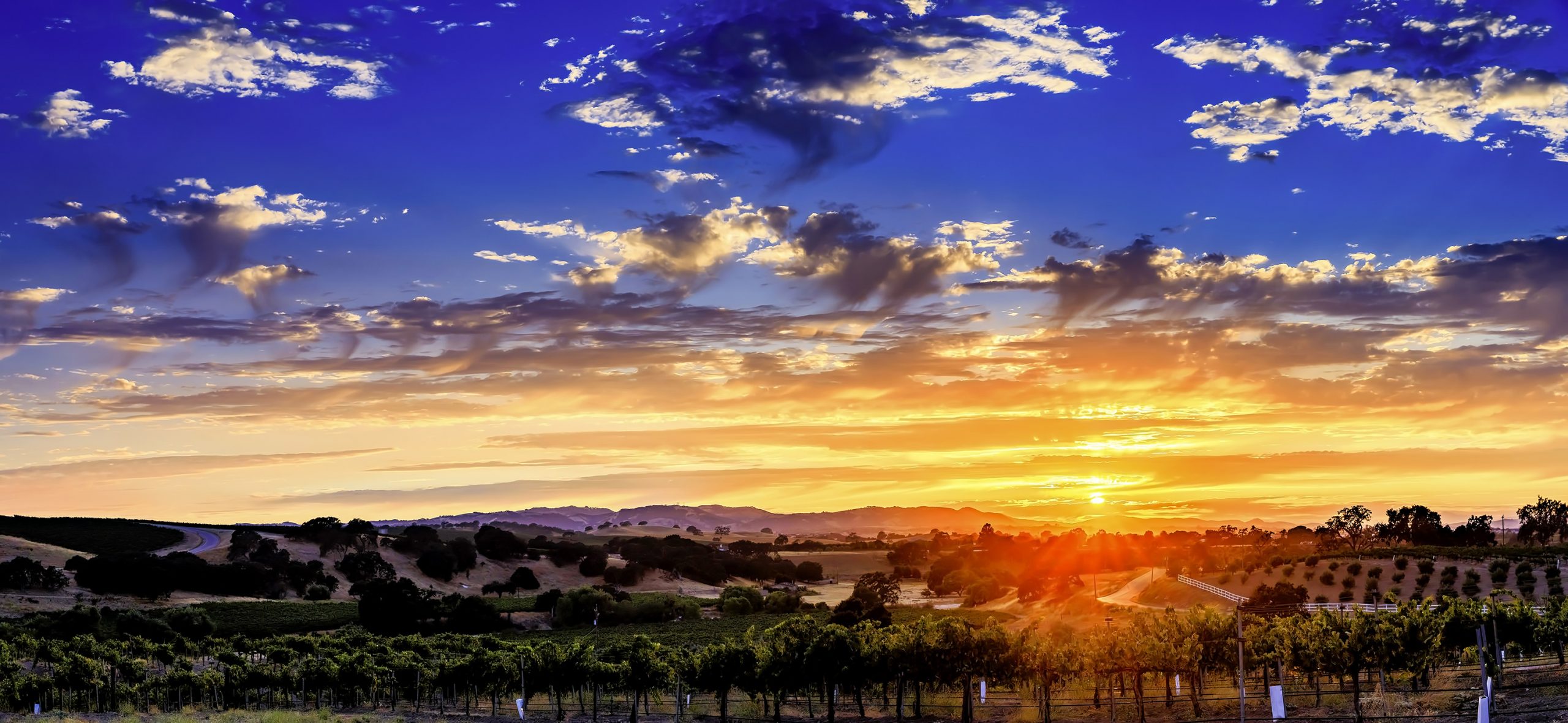 Sunset over vineyards in Paso Robles